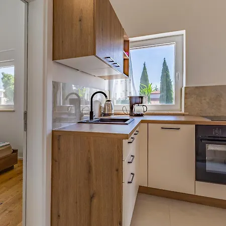 Lion Apartman Medulin