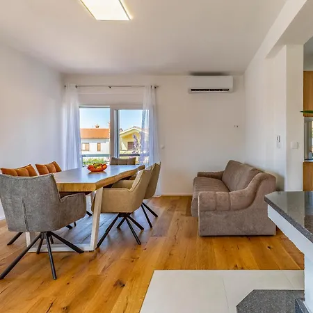 Lion Apartman Medulin