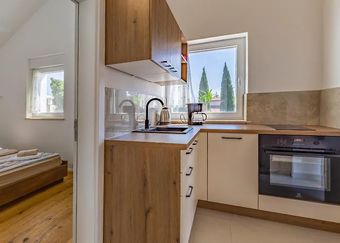 Lion Apartman Medulin