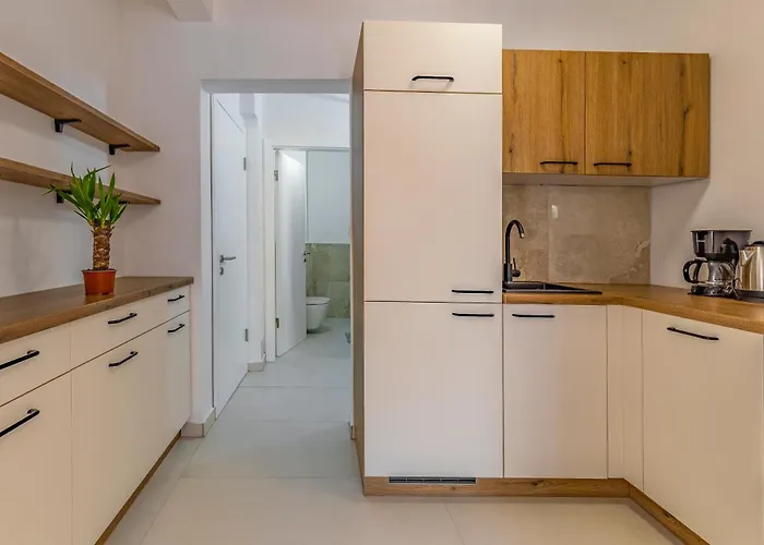 Apartament Lion *